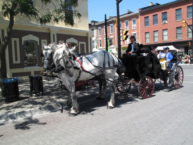 carriagefrontview